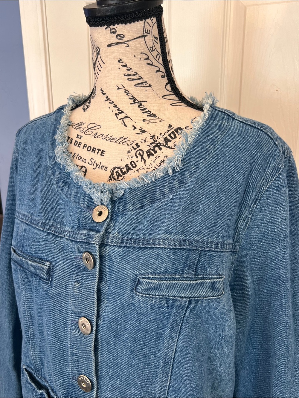 Denim Button-Front Jacket - Blue - Picture 2 of 10